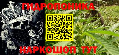 эйфоретик Краснодар