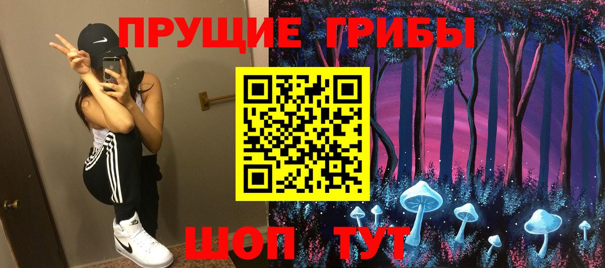 Галлюциногенные грибы Psilocybe  Вход с VPN  купить наркотик  Дедовск 