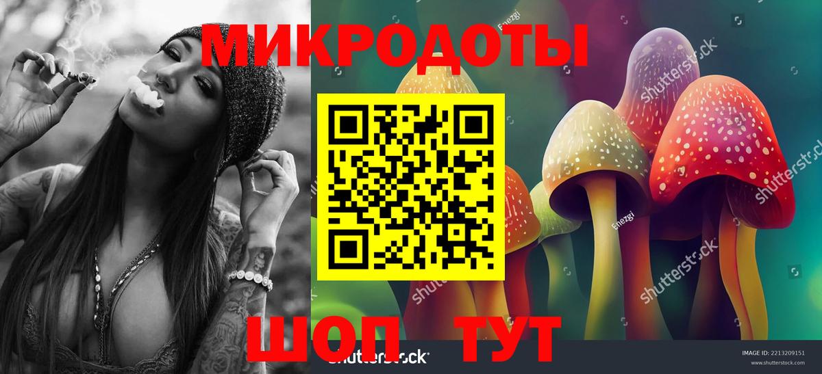 Галлюциногенные грибы Psilocybine cubensis Дедовск
